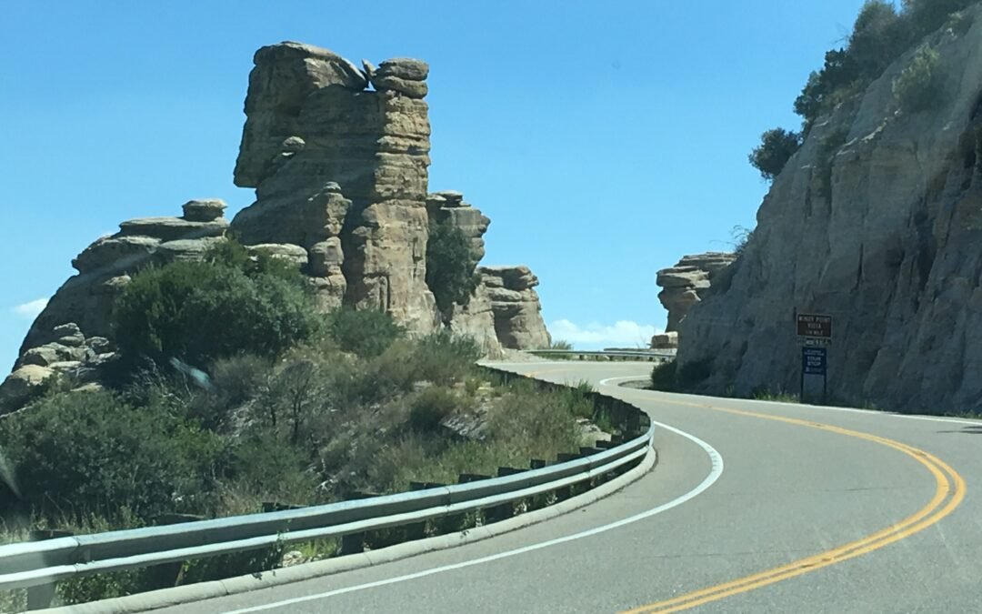 8 Signs You May Have the Travel Bug